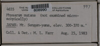 Image Associated With the Occurence